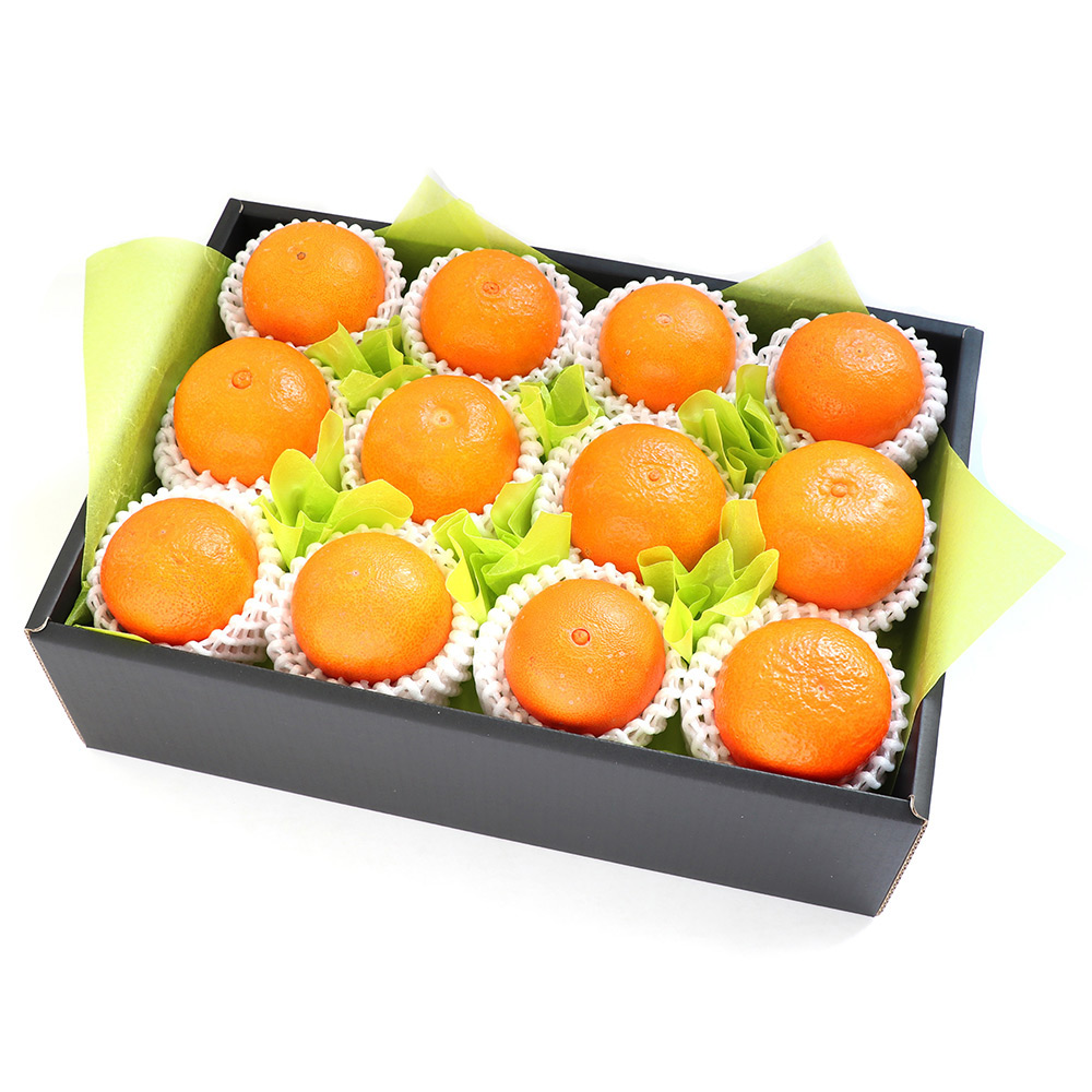 紅まどんな 2.2kg