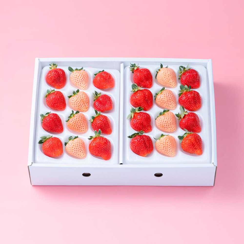 紅白いちごギフト箱（24-30粒）