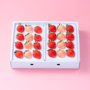 いちご | 旬を愉しむ！ご予約サービス フルーツだより | 特集 | 高島屋