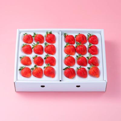 福岡産あまおうギフト箱（24-30粒）