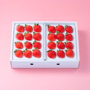 紅白いちごギフト箱（24-30粒） | 商品詳細 | 高島屋オンラインストア