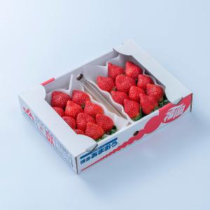 いちごページ ♡ 10パックセット いちご12種食べ比べ | 商品詳細 | 高島屋オンラインストア