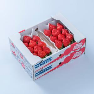 いちご12種食べ比べ | 商品詳細 | 高島屋オンラインストア