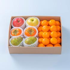 旬のフルーツセットF02