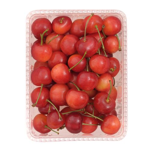 佐藤錦500g