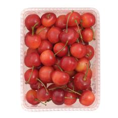 佐藤錦500g