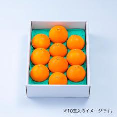 愛媛産「至高のまどんな」2.5kg