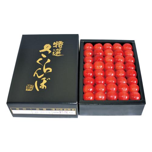 <東根農産>佐藤錦(化粧箱入) 約500g