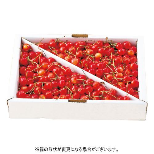 <丸松生産者出荷組合>◆佐藤錦