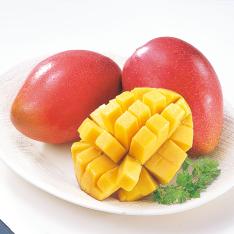 宮崎県産 完熟マンゴー