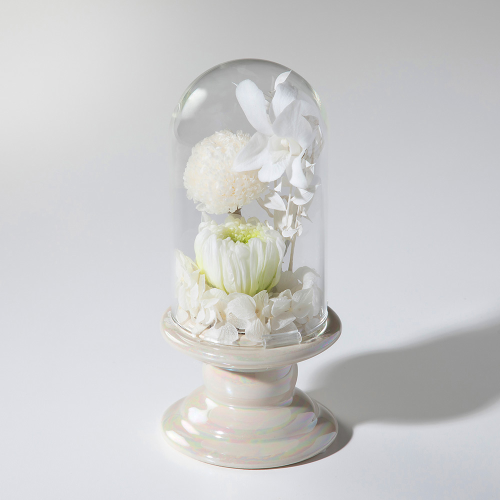 供花プリザーブドフラワー ホワイト一輪菊・ピンポンマム