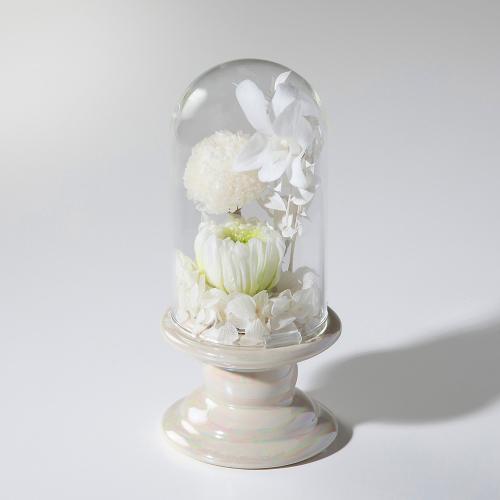 供花プリザーブドフラワー ホワイト一輪菊・ピンポンマム