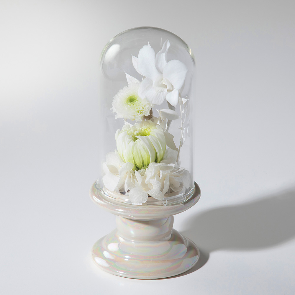 供花プリザーブドフラワー ホワイト一輪菊・菊