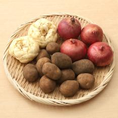 北の味覚 北海道野菜セット～冬～