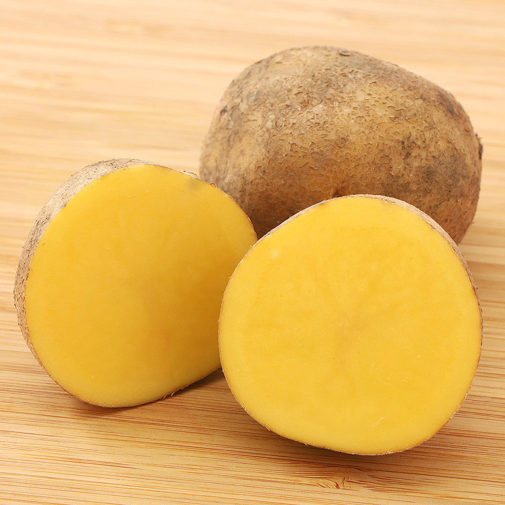 インカのめざめ 十勝産 5kg