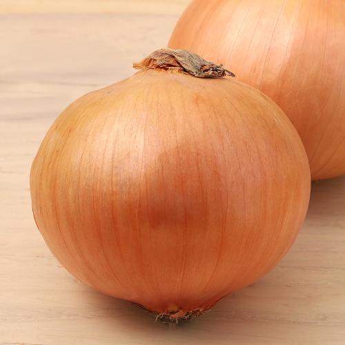 玉ねぎ 北海道産 5kg