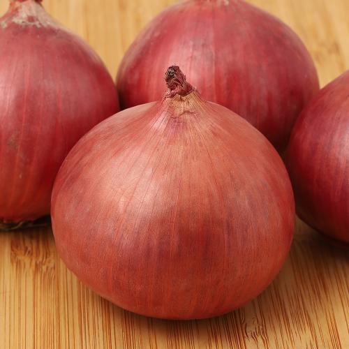 さらさらレッド（赤玉ねぎ） 栗山町産5kg