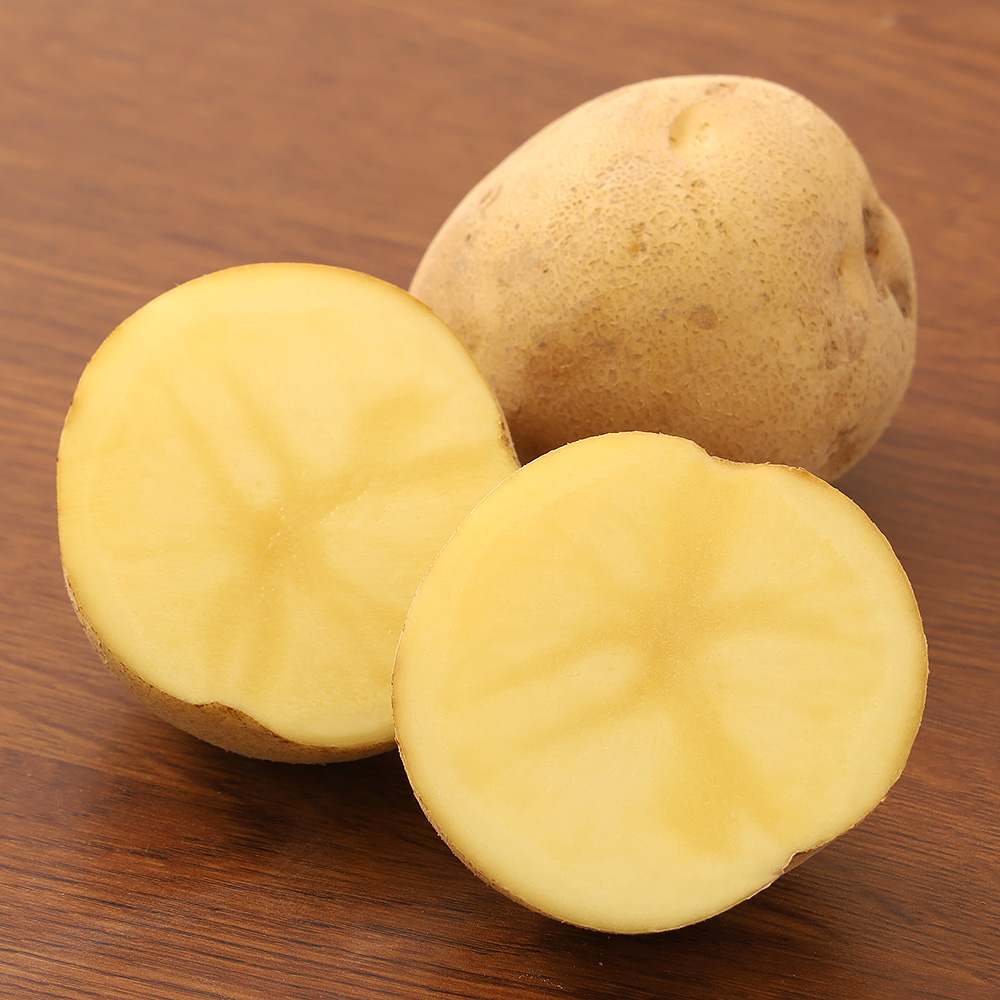 とうや 羊蹄山麓産 5kg