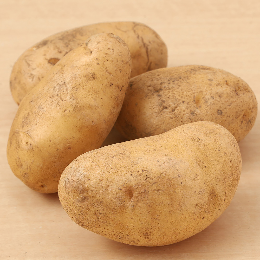 メークイン 十勝産 5kg