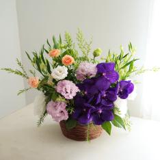 季節のフラワーアレンジメント 「ヴィオレ」M