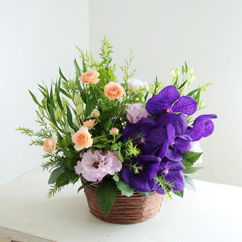 季節のフラワーアレンジメント 「ヴィオレ」L