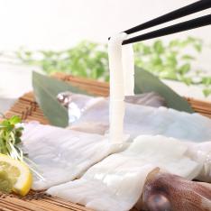 CAS剣先イカ（姿造り）