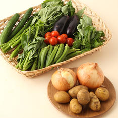 つくだ農園　有機野菜セット