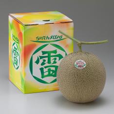 【収穫状況に応じ、順次発送予定】北海道産 らいでんメロン