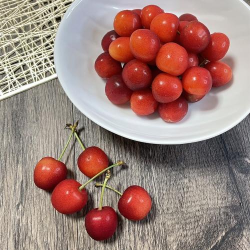 【最適な時期に収穫し、順次発送予定】北海道産　紅秀峰（300g×2パック）