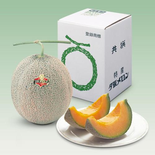 【最適な時期に収穫し、順次発送予定】北海道産　夕張メロン　特大1玉