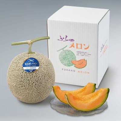 【最適な時期に収穫し、順次発送予定】富良野メロン（特大玉）1玉