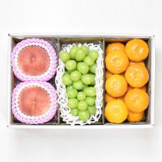 【収穫状況に応じ、順次発送予定】夏のフルーツ詰合せ