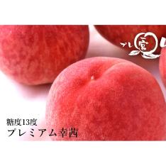 【収穫状況に応じ、順次発送予定】JAふえふき一宮 糖度13度プレミアム幸茜