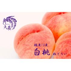 【収穫状況に応じ、順次発送予定】JAフルーツ山梨 大藤 糖度13度白桃「粒ぞろい」