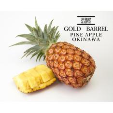【収穫状況に応じ、順次発送予定】沖縄県東村 ゴールドバレル 2玉