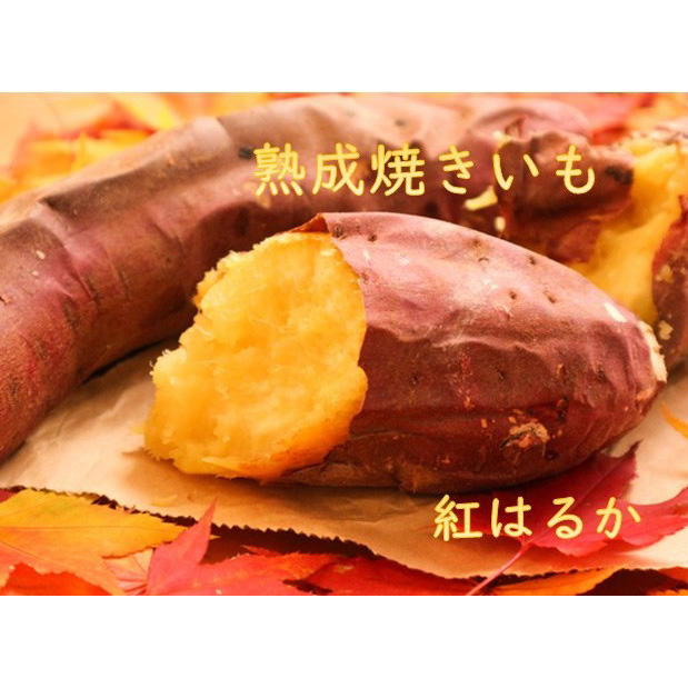 こだわりの熟成焼きいも（紅はるか） | 商品詳細 | 高島屋