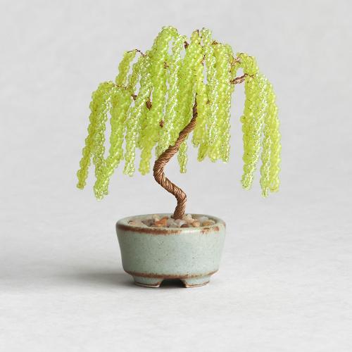 ネジッテBONSAIキット 柳