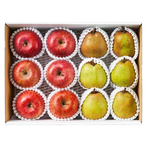 【最適な時期に収穫し、順次発送予定】サンふじ＆ラフランス