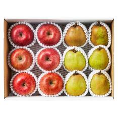 【最適な時期に収穫し、順次発送予定】サンふじ＆ラフランス