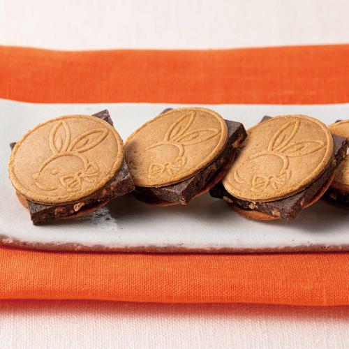 【バレンタインデー】鎌倉チョコサンドだょ（10個入）×2箱