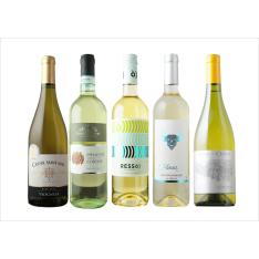 福袋 味わいの違いを楽しむ品種飲みくらべ白ワイン5本セット