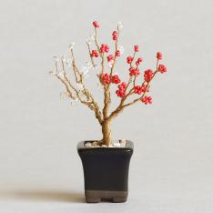ネジッテBONSAIキット 梅