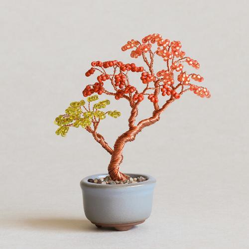 ネジッテBONSAIキット 紅葉