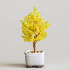 ネジッテBONSAIキット 銀杏