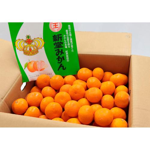 【最適な時期に収穫し、順次発送予定】新堂みかん　Mサイズ　5kg箱