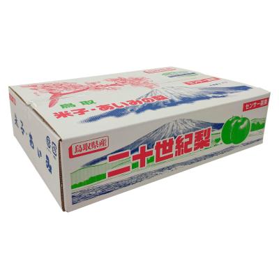 あいみ果実選果場 二十世紀梨(5kg/3〜4L 12〜14玉)