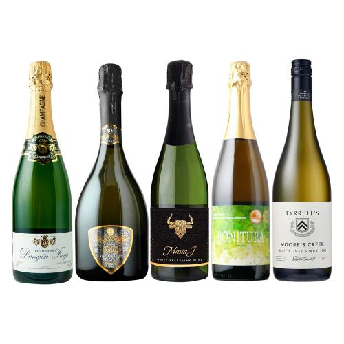 シャンパーニュ入り世界のスパークリング5本セット