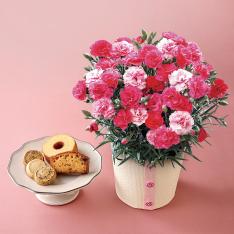 【母の日】カーネーション(さくらもなか)と「パティスリー キハチ」アソートBOX