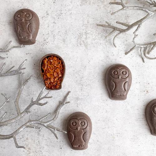 【バレンタインデー】チョコフクロウのフロランタン8羽入り