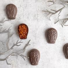 【バレンタインデー】チョコフクロウのフロランタン8羽入り